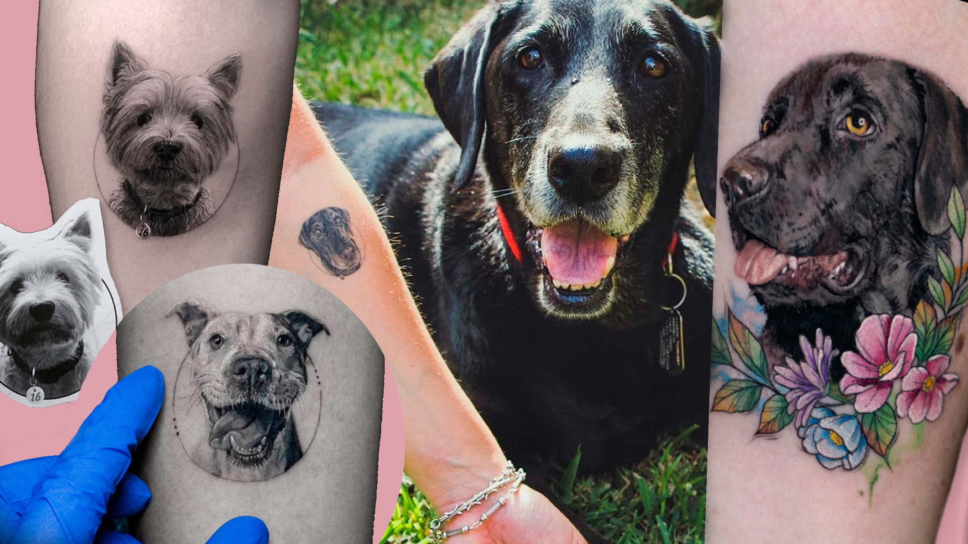 The Story of My Minimalist, Single-Line Dog Tattoos